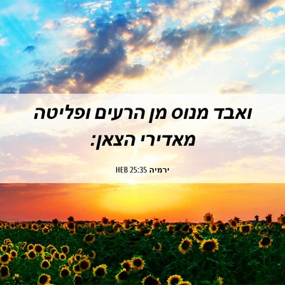 Picture 06 - ירמיה 25:35 HEB - ואבד מנוס מן הרעים ופליטה - Bible Verse Picture
