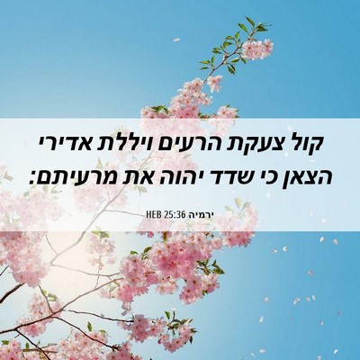 Picture 06 - ירמיה 25:36 HEB - קול צעקת הרעים ויללת אדירי - Bible Verse Picture