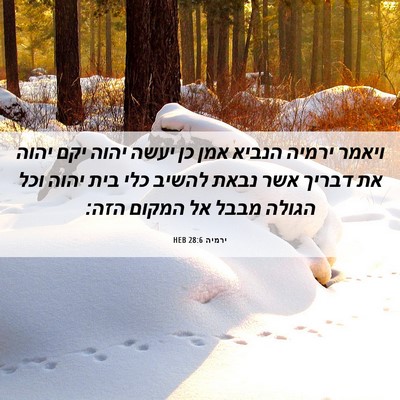 Picture 06 - ירמיה 28:6 HEB - ויאמר ירמיה הנביא אמן כן - Bible Verse Picture