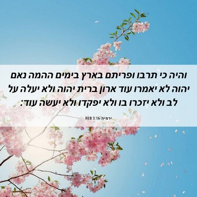 Picture 06 - ירמיה 3:16 HEB - והיה כי תרבו ופריתם בארץ - Bible Verse Picture