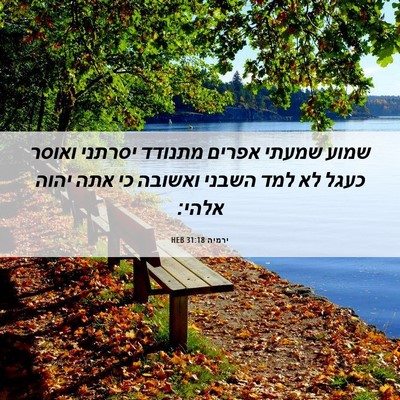 Picture 06 - ירמיה 31:18 HEB - שמוע שמעתי אפרים מתנודד - Bible Verse Picture