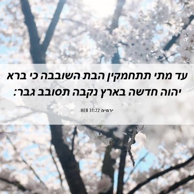 Picture 06 - ירמיה 31:22 HEB - עד מתי תתחמקין הבת השובבה - Bible Verse Picture