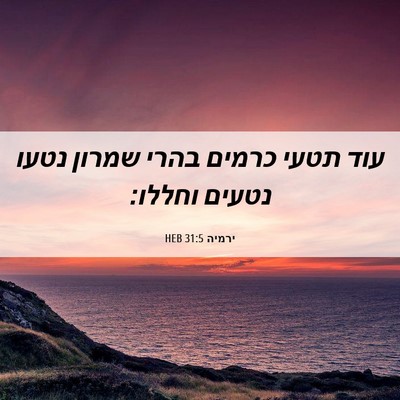Picture 06 - ירמיה 31:5 HEB - עוד תטעי כרמים בהרי שמרון - Bible Verse Picture
