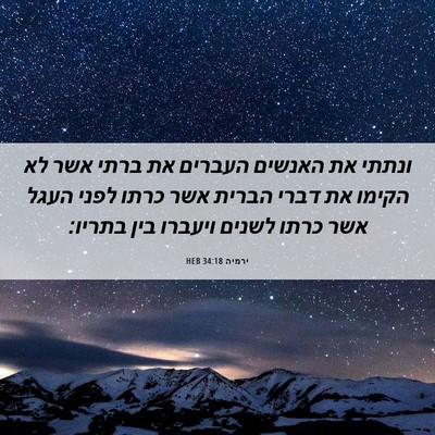 Picture 06 - ירמיה 34:18 HEB - ונתתי את האנשים העברים את - Bible Verse Picture
