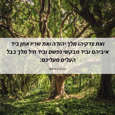 Picture 06 - ירמיה 34:21 HEB - ואת צדקיהו מלך יהודה ואת - Bible Verse Picture