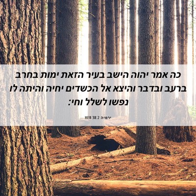 Picture 06 - ירמיה 38:2 HEB - כה אמר יהוה הישב בעיר הזאת - Bible Verse Picture