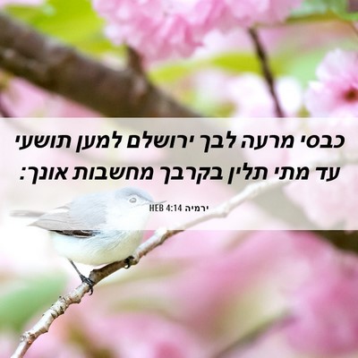 Picture 06 - ירמיה 4:14 HEB - כבסי מרעה לבך ירושלם למען - Bible Verse Picture