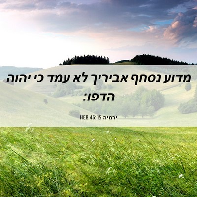 Picture 06 - ירמיה 46:15 HEB - מדוע נסחף אביריך לא עמד כי - Bible Verse Picture