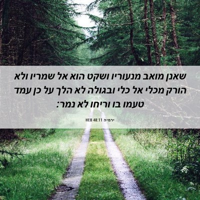 Picture 06 - ירמיה 48:11 HEB - שאנן מואב מנעוריו ושקט הוא - Bible Verse Picture