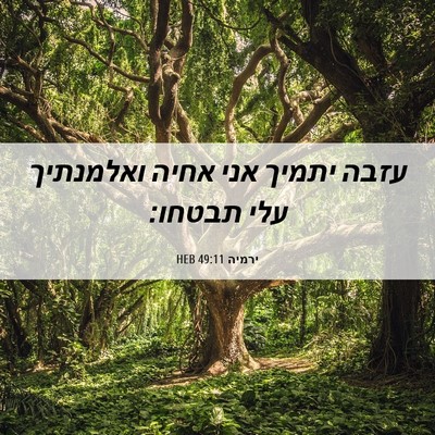 Picture 06 - ירמיה 49:11 HEB - עזבה יתמיך אני אחיה - Bible Verse Picture