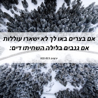 Picture 06 - ירמיה 49:9 HEB - אם בצרים באו לך לא ישארו - Bible Verse Picture