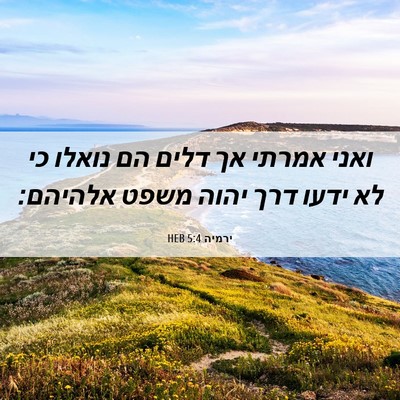 Picture 06 - ירמיה 5:4 HEB - ואני אמרתי אך דלים הם נואלו - Bible Verse Picture