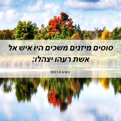Picture 06 - ירמיה 5:8 HEB - סוסים מיזנים משכים היו איש - Bible Verse Picture