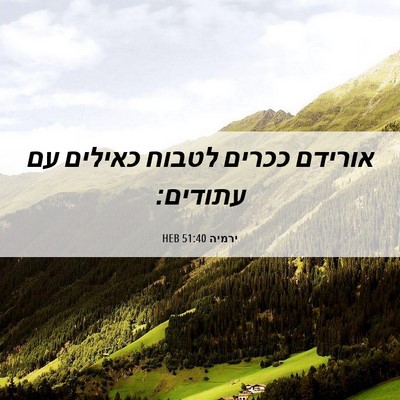 Picture 06 - ירמיה 51:40 HEB - אורידם ככרים לטבוח כאילים - Bible Verse Picture