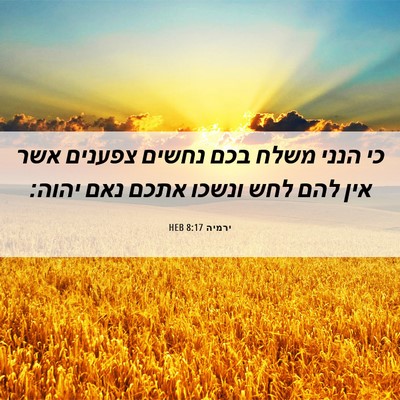 Picture 06 - ירמיה 8:17 HEB - כי הנני משלח בכם נחשים - Bible Verse Picture