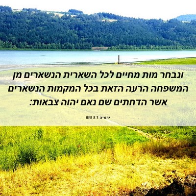Picture 06 - ירמיה 8:3 HEB - ונבחר מות מחיים לכל השארית - Bible Verse Picture