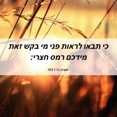 Picture 06 - ישעיה 1:12 HEB - כי תבאו לראות פני מי בקש - Bible Verse Picture