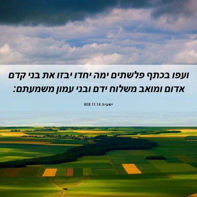 Picture 06 - ישעיה 11:14 HEB - ועפו בכתף פלשתים ימה יחדו - Bible Verse Picture