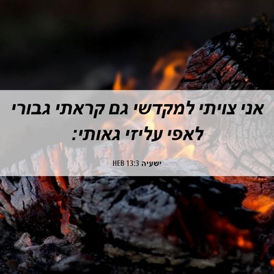 Picture 06 - ישעיה 13:3 HEB - אני צויתי למקדשי גם קראתי - Bible Verse Picture