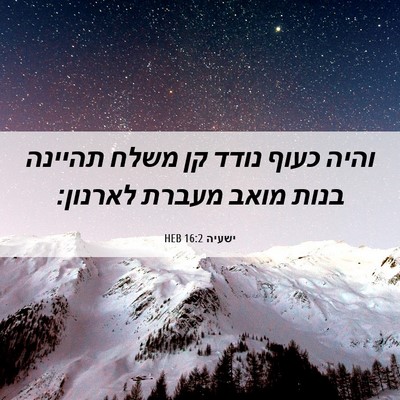 Picture 06 - ישעיה 16:2 HEB - והיה כעוף נודד קן משלח - Bible Verse Picture