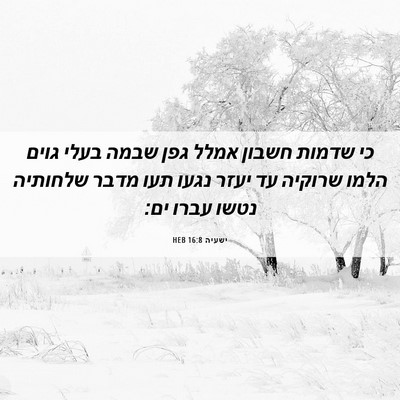 Picture 06 - ישעיה 16:8 HEB - כי שדמות חשבון אמלל גפן - Bible Verse Picture
