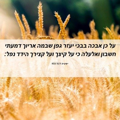 Picture 06 - ישעיה 16:9 HEB - על כן אבכה בבכי יעזר גפן - Bible Verse Picture
