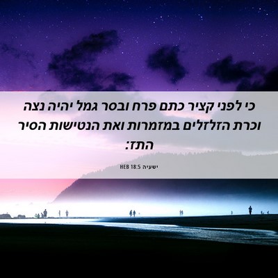 Picture 06 - ישעיה 18:5 HEB - כי לפני קציר כתם פרח ובסר - Bible Verse Picture