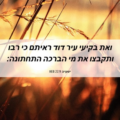 Picture 06 - ישעיה 22:9 HEB - ואת בקיעי עיר דוד ראיתם כי - Bible Verse Picture