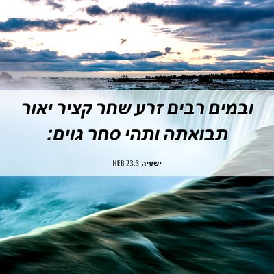Picture 06 - ישעיה 23:3 HEB - ובמים רבים זרע שחר קציר - Bible Verse Picture