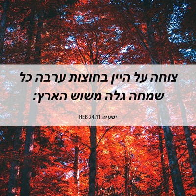 Picture 06 - ישעיה 24:11 HEB - צוחה על היין בחוצות ערבה כל - Bible Verse Picture