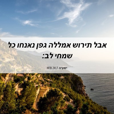 Picture 06 - ישעיה 24:7 HEB - אבל תירוש אמללה גפן נאנחו - Bible Verse Picture