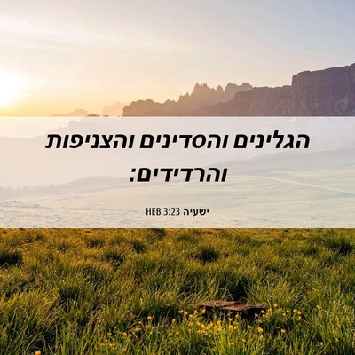 Picture 06 - ישעיה 3:23 HEB - הגלינים והסדינים והצניפות - Bible Verse Picture