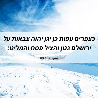 Picture 06 - ישעיה 31:5 HEB - כצפרים עפות כן יגן יהוה - Bible Verse Picture