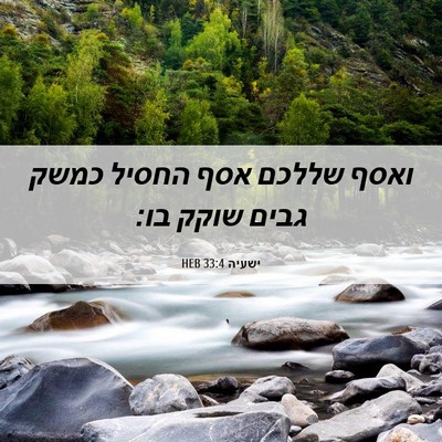 Picture 06 - ישעיה 33:4 HEB - ואסף שללכם אסף החסיל כמשק - Bible Verse Picture