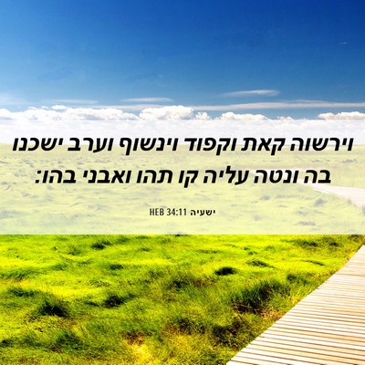 Picture 06 - ישעיה 34:11 HEB - וירשוה קאת וקפוד וינשוף - Bible Verse Picture
