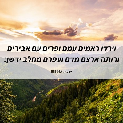 Picture 06 - ישעיה 34:7 HEB - וירדו ראמים עמם ופרים עם - Bible Verse Picture