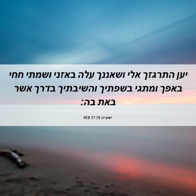 Picture 06 - ישעיה 37:29 HEB - יען התרגזך אלי ושאננך עלה - Bible Verse Picture