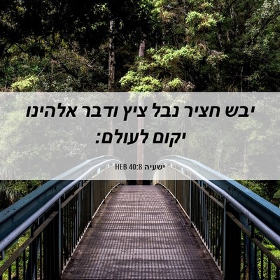 Picture 06 - ישעיה 40:8 HEB - יבש חציר נבל ציץ ודבר - Bible Verse Picture