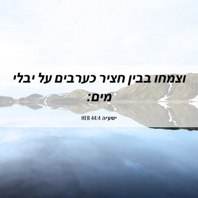 Picture 06 - ישעיה 44:4 HEB - וצמחו בבין חציר כערבים על - Bible Verse Picture