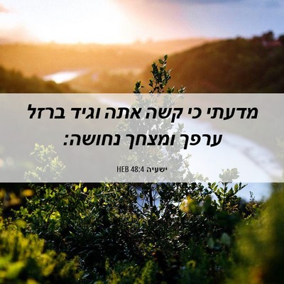 Picture 06 - ישעיה 48:4 HEB - מדעתי כי קשה אתה וגיד ברזל - Bible Verse Picture