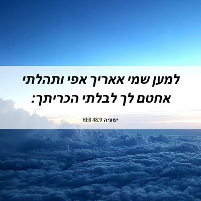 Picture 06 - ישעיה 48:9 HEB - למען שמי אאריך אפי ותהלתי - Bible Verse Picture
