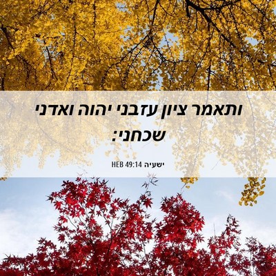 Picture 06 - ישעיה 49:14 HEB - ותאמר ציון עזבני יהוה - Bible Verse Picture