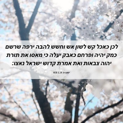 Picture 06 - ישעיה 5:24 HEB - לכן כאכל קש לשון אש וחשש - Bible Verse Picture