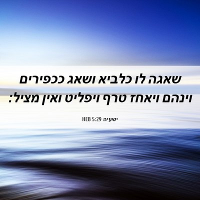 Picture 06 - ישעיה 5:29 HEB - שאגה לו כלביא ושאג ככפירים - Bible Verse Picture