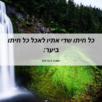 Picture 06 - ישעיה 56:9 HEB - כל חיתו שדי אתיו לאכל כל - Bible Verse Picture