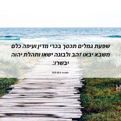 Picture 06 - ישעיה 60:6 HEB - שפעת גמלים תכסך בכרי מדין - Bible Verse Picture