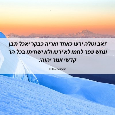 Picture 06 - ישעיה 65:25 HEB - זאב וטלה ירעו כאחד ואריה - Bible Verse Picture
