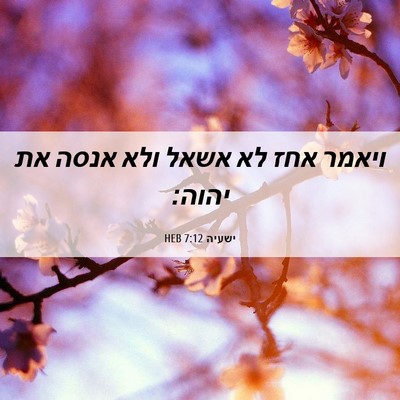 Picture 06 - ישעיה 7:12 HEB - ויאמר אחז לא אשאל ולא אנסה - Bible Verse Picture