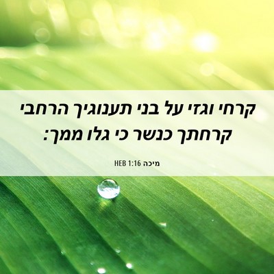 Picture 06 - מיכה 1:16 HEB - קרחי וגזי על בני תענוגיך - Bible Verse Picture