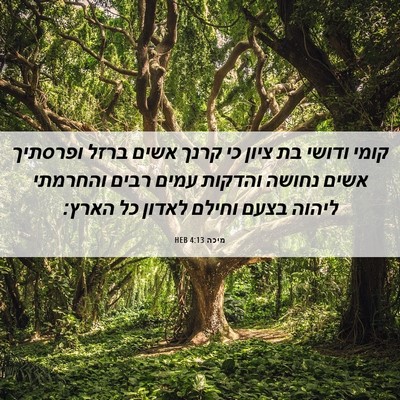 Picture 06 - מיכה 4:13 HEB - קומי ודושי בת ציון כי קרנך - Bible Verse Picture